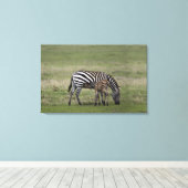 Zebra und Fossilien, Tansania Leinwanddruck (Insitu (Holzboden))