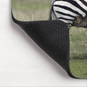 Zebra und Fossilien, Tansania Mousepad (Ecke)