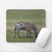 Zebra und Fossilien, Tansania Mousepad (Mit Mouse)
