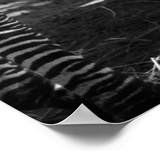 Zebra und Keuche Poster (Ecke)