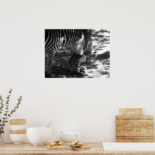 Zebra und Keuche Poster (Küche)