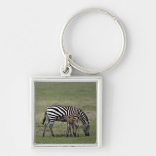 Zebra und Krankenpflegefohlen, Tansania Schlüsselanhänger