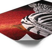Zebra und Oxpecker Poster (Ecke)