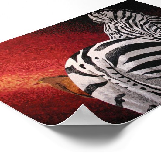 Zebra und Oxpecker Poster (Ecke)