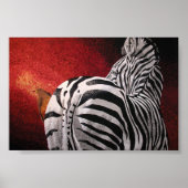 Zebra und Oxpecker Poster (Vorne)