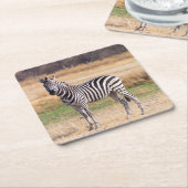 Zebra Untersetzer (angewinkelt)