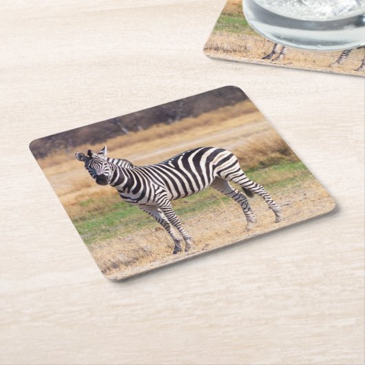 Zebra Untersetzer (angewinkelt)