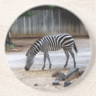 Zebra Untersetzer