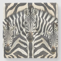 Zebra Untersetzer