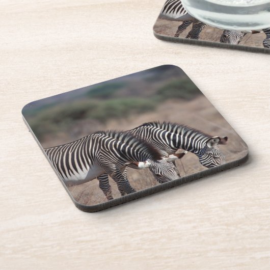 Zebra Untersetzer (Linke Seite)