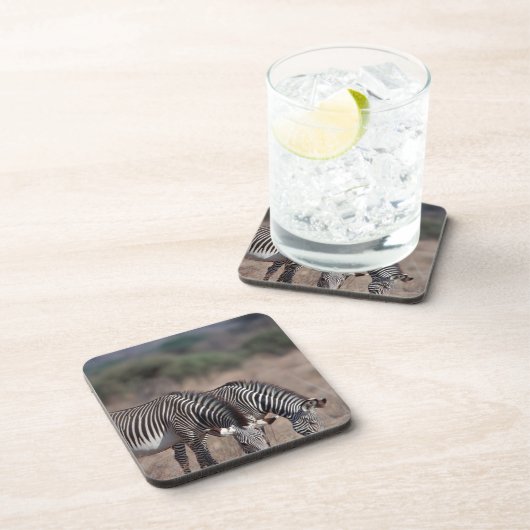 Zebra Untersetzer (Rechte Seite)