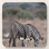 Zebra Untersetzer (Vorderseite)