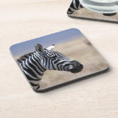 Zebra Untersetzer (Linke Seite)