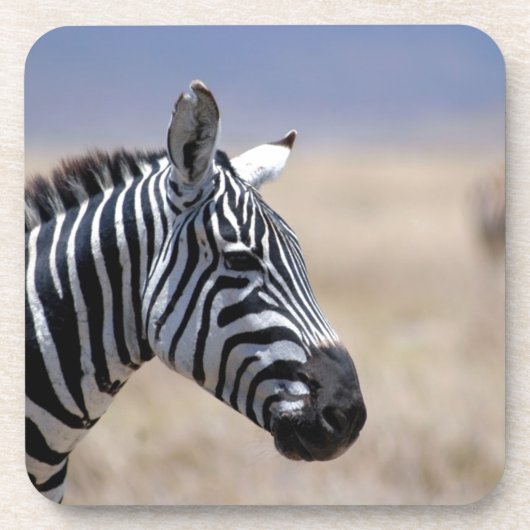 Zebra Untersetzer (Vorderseite)