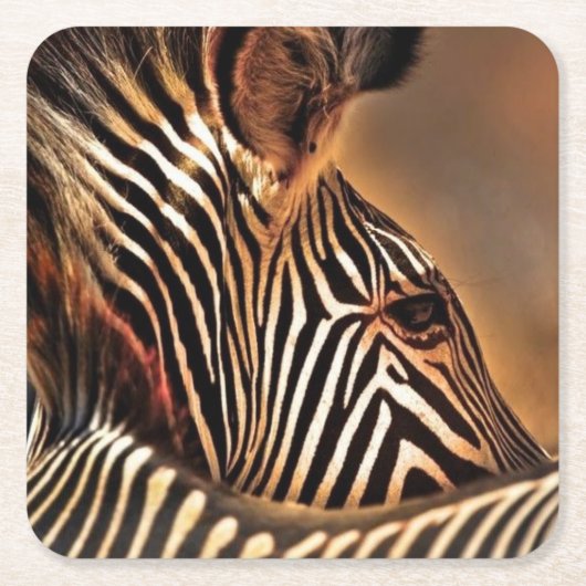 Zebra-Untersetzer Rechteckiger Pappuntersetzer (Vorderseite)