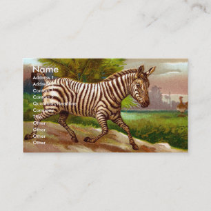 Zebra-Visitenkarte Visitenkarte