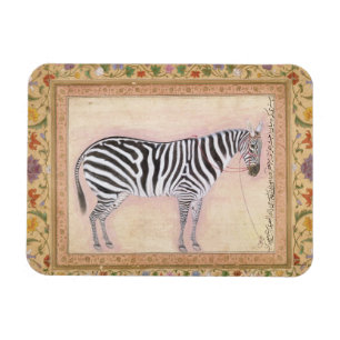 Zebra, vom "Minto Album", 1621 (Gouache auf PA Magnet