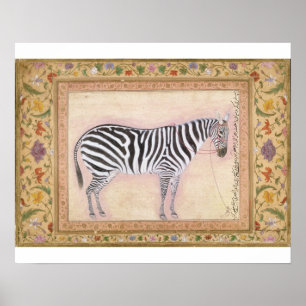 Zebra, vom "Minto Album", 1621 (Gouache auf PA Poster