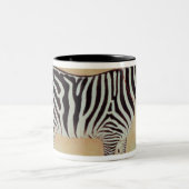 Zebra, vom "Minto Album", Mughal, 1621, Zweifarbige Tasse (Mittel)