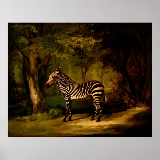 Zebra von George Stubbs (1763) Poster (Vorne)