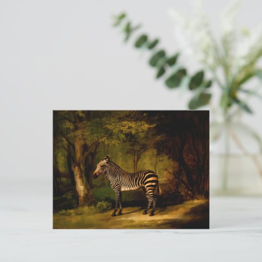Zebra von George Stubbs (1763) Postkarte (Stehend Vorderseite)