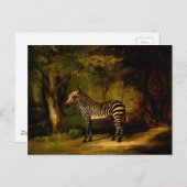 Zebra von George Stubbs (1763) Postkarte (Vorne/Hinten)