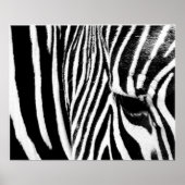 Zebra von tdgallery poster (Vorne)