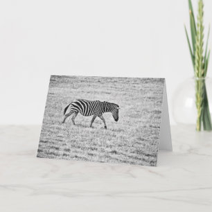 Zebra Walk Blank Note Card Karte