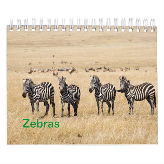 Zebra Wall Calendar Kalender (Titelbild)