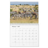 Zebra Wall Calendar Kalender (Feb 2027)