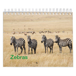 Zebra Wall Calendar Kalender