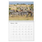 Zebra Wall Calendar Kalender (Feb 2026)