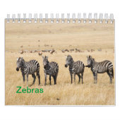 Zebra Wall Calendar Kalender (Titelbild)