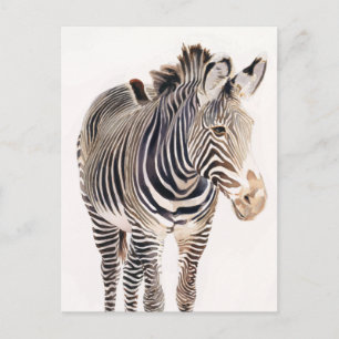 "Zebra" Wasserfarbenwelt Kunst, Dichtung und Musik Postkarte