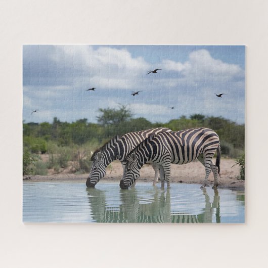Zebra Watering Hole Puzzle (Horizontal)