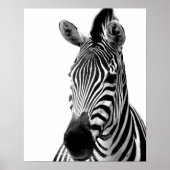 Zebra-Wilddschungel-Foto Poster (Vorne)