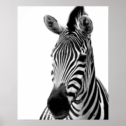 Zebra-Wilddschungel-Foto Poster (Vorne)
