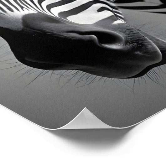 Zebra Wildlife Majestic Nature Life Kunst Poster (Ecke)