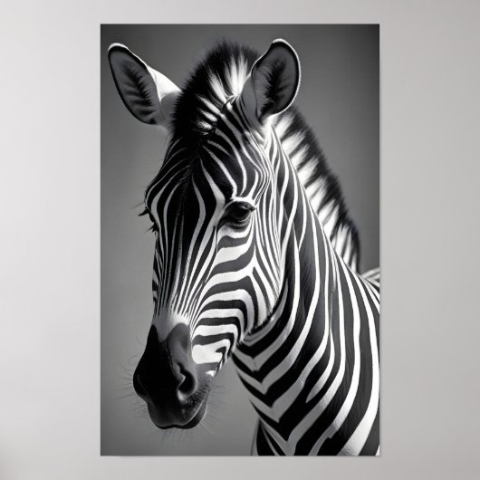 Zebra Wildlife Majestic Nature Life Kunst Poster (Vorne)