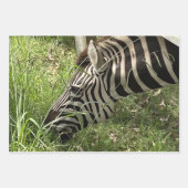 Zebra Wrapping Paper Geschenkpapier Set (Vorderseite 3)