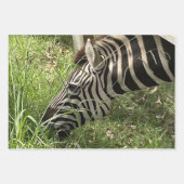 Zebra Wrapping Paper Geschenkpapier Set (Vorderseite 2)