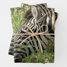 Zebra Wrapping Paper