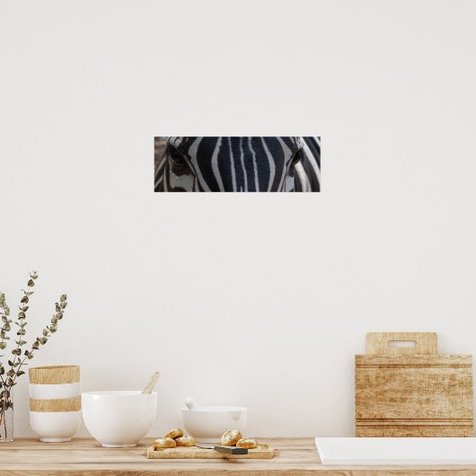 Zebra Zebra an der Wand Poster (Küche)
