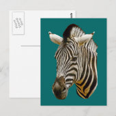 Zebra Zeichnend Postkarte (Vorne/Hinten)