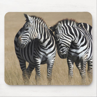 "Zebra-Zuneigung " Mousepad