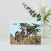 Zebraaussehen Postkarte (Stehend Vorderseite)