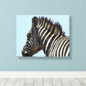 zebrablaue Leinwand (Insitu (Holzboden))