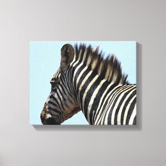 zebrablaue Leinwand (Vorderseite)