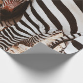 ZEBRAFAMILIE GESCHENKPAPIER (Ecke)