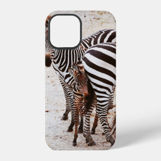 ZEBRAFAMILIE iPhone 12 HÜLLE